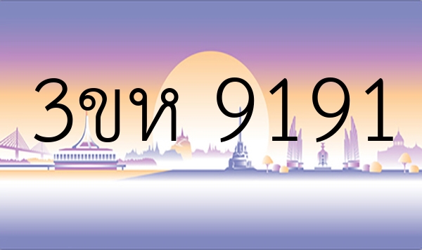 3ขห 9191